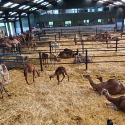 Our-Farm-1